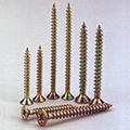 Chipboard Screw