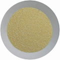 dehydrated garlic granules 2