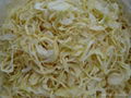 Dried Onion Slice 1