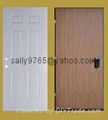 steel door skin