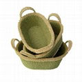 Sisal Storage Baskets