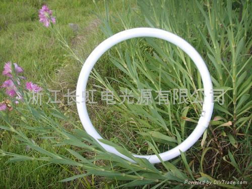 T5 Tri-phosphor Fluorescent Circular Lamp