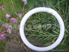 T9 Fluorescent Circular Lamp