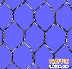 HEXAGONAL WIRE MESH   4