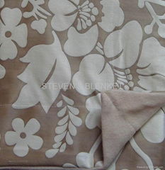 suede with single coral fleece blanket