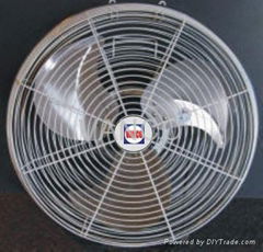 luxurious wall fan