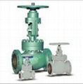 Globe valve 1