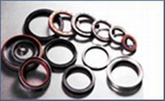 Oil Seal