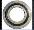 Mechanical Seal, Packing Seal and Gasket Seal 3