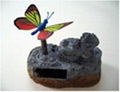 Solar butterfly in rock 4