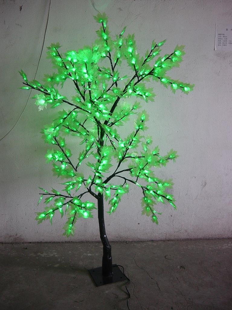 Maple tree light 5