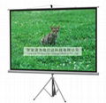 Tripod Screen