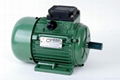 Three Phase AC Motor