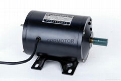 Single phase induction motor