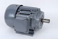 Y series Electric Motor