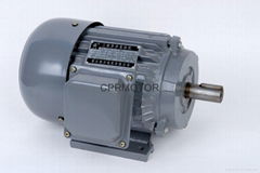 Y series Electric Motor