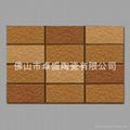 exterior wall tile 1