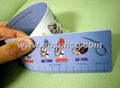 PVC Ruler(SCPAR103) 1