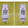 shower thermoemter 1