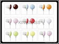 Promotional gift Earphone