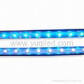 T5 blue SMD LED light tube