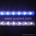 T5 white SMD LED light tube 1