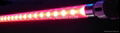 T5 red SMD LED light tube