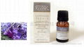 100% Pure Essential Oils LAVENDER