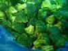 iqf broccoli florets 1