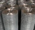 welded wire mesh