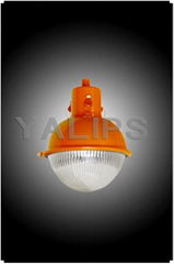 Industrial Luminaire