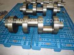 Crankshaft (SPM TWS)