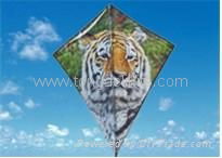 Diamond advertising kite