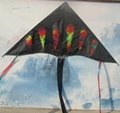 Promotional kite-Raindrops 1