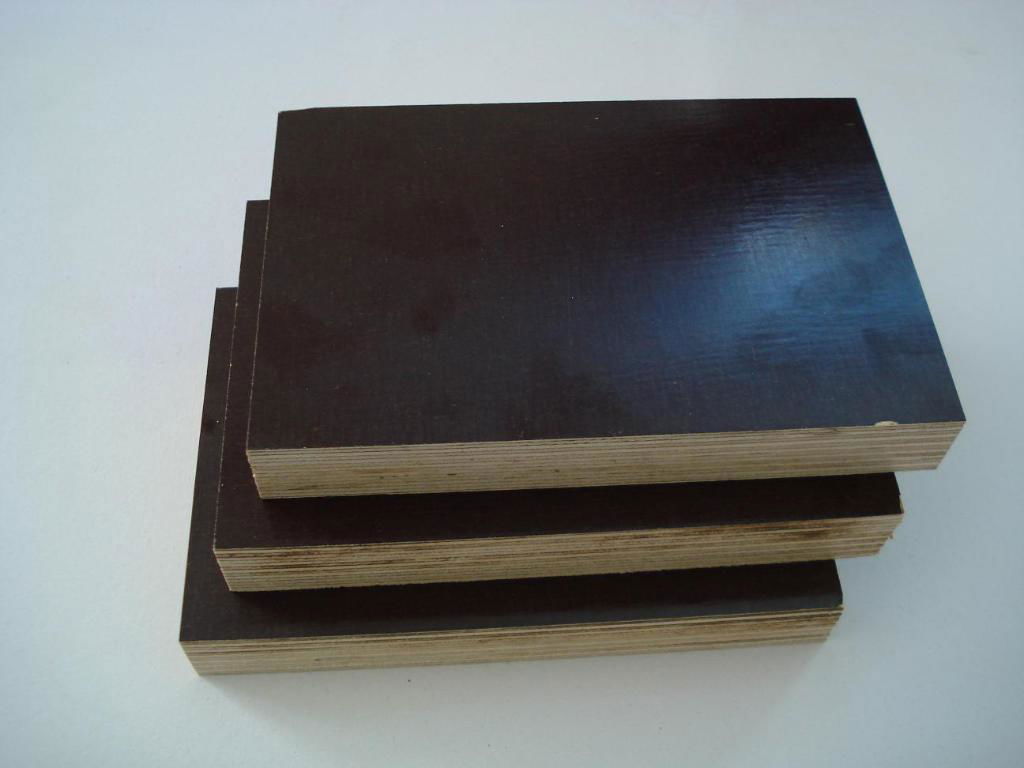 shuttering plywood 3