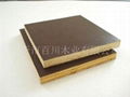 formwork plywood  3