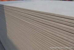 gypsum board /plaster board