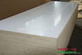 PVC faced plywood