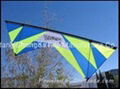 Popular kites worldwide