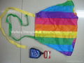 Popular kites worldwide 5