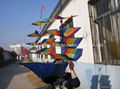 Traditional kites(Chinese kites)