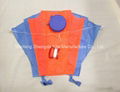 All Kinds of  Parafoil Kites(Box &