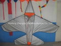 Airplane shape kites 2