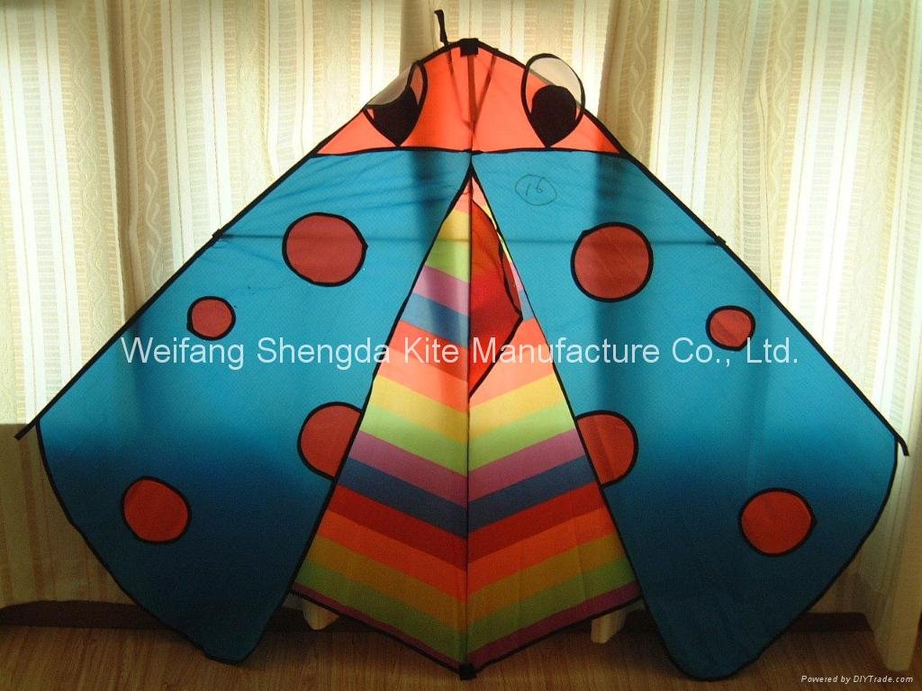 Bamboo Folk custom kites