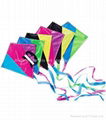 simple kites and promotion kites   1