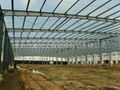 steel structure sheds/workshop/warehouse etc.