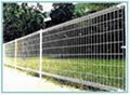 Fencing Mesh Panels 3