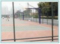 Fencing Mesh Panels 4