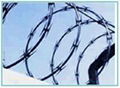 Barbed Wire 4