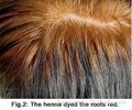 Sunnyvale Natural Indigo Hair Color Powder Dye you hair naturally black 3